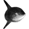 justinwhite4872 profile image