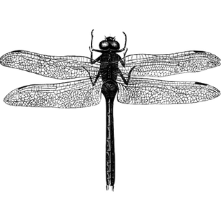 vJSphDHPsv profile picture