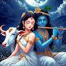 Dinesh V profile picture
