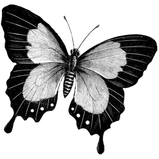 Lillian Cooper profile picture