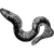 spendingdole profile image