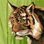 fawad_saafir_a6900e23a22d profile image