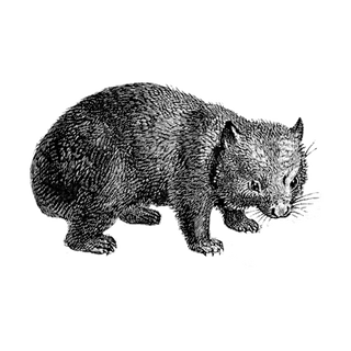 xnTJVHxRR profile picture