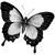 despitebrewer profile image