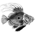 marcusagnus profile image