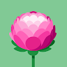 seo connect profile picture