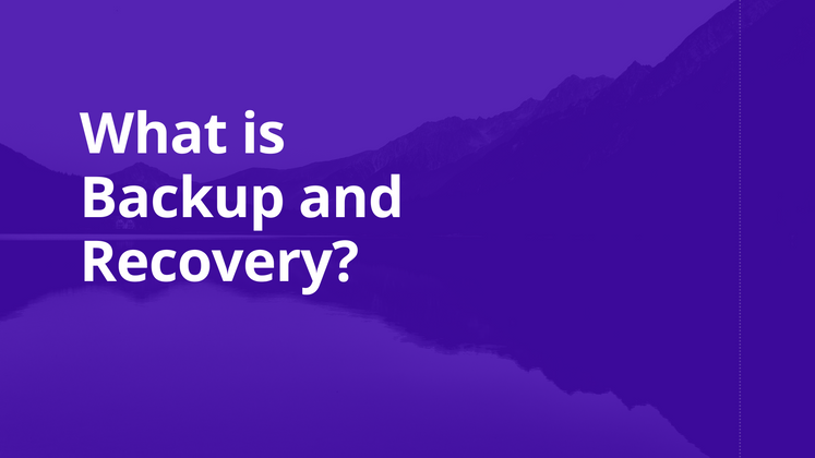 Cover image for What is Backup and Recovery?