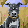 Rfggg Adi profile picture