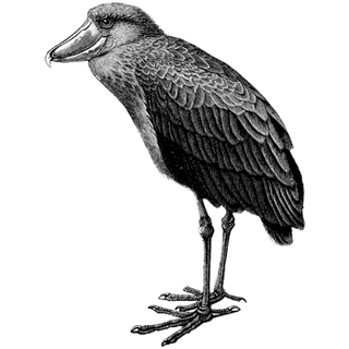 Jamie profile picture