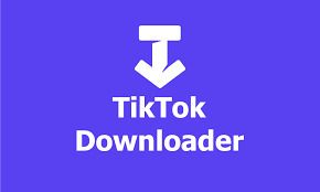 Ssstik profile picture