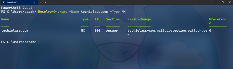 Querying DNS Records with PowerShell